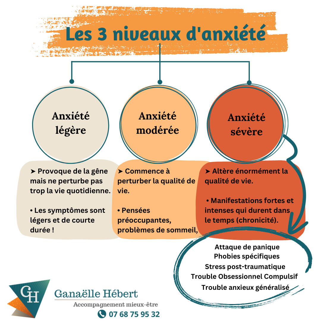 Schéma illustrant les 3 niveaux d'anxiété